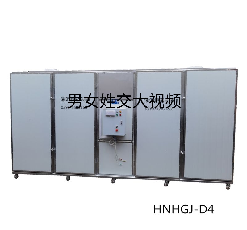 HNHGJ-D4型全自动电加热烘干箱（烘箱）
