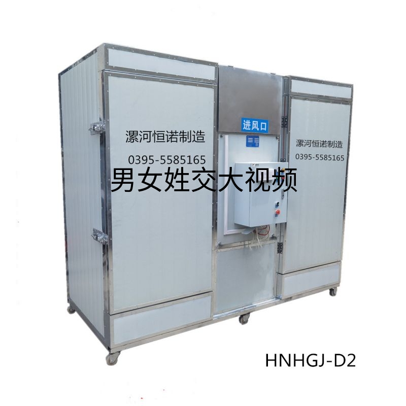 HNHGJ-D2型小型2箱全自动电加热烘干箱(烘箱)